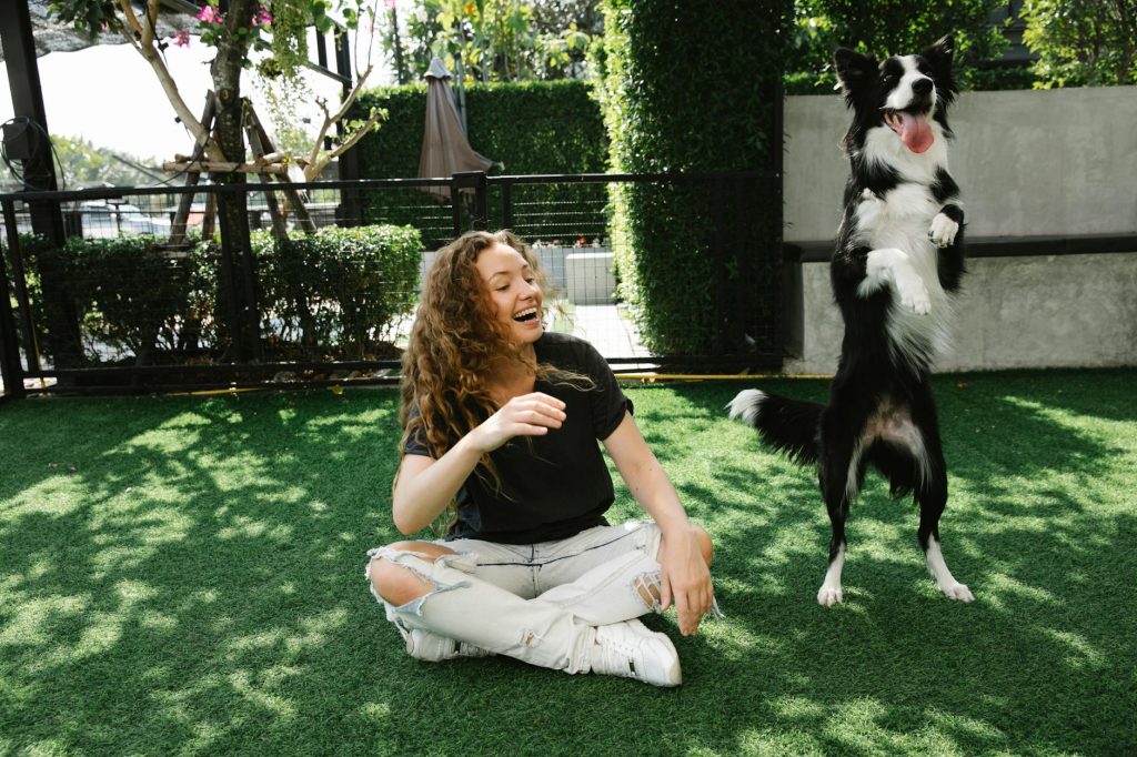 Woman enjoying playful moments with border collie outdoors in summer.